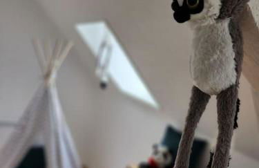 Gîte Animals King'Dôme 8min du Zoo de Beauval - Foto 33