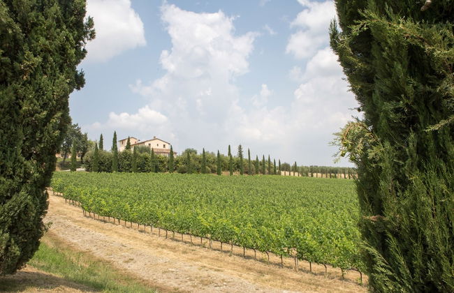 Le Buche Wine Resort & Spa - Foto 72