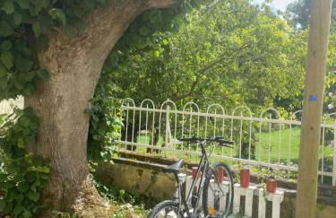 Gîte de la Roseraie - Foto 44