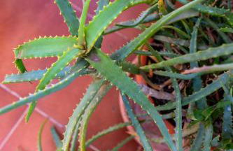 Penthouse Duplex in a 4 floors spanish house -8 min to center by Metro - Foto 67