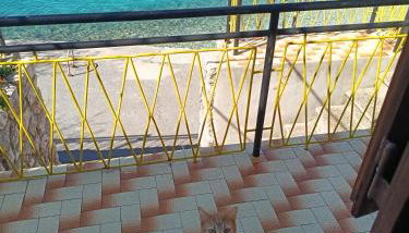 Apartments Stokic - Photo 2