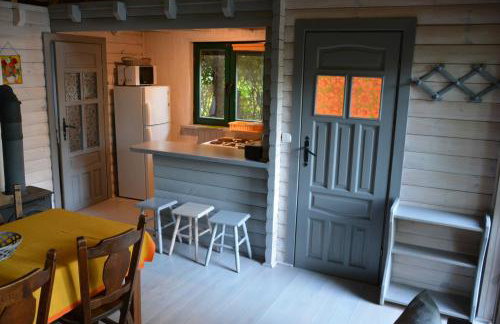 Domki nad Jeziorem Ołów - Foto 22