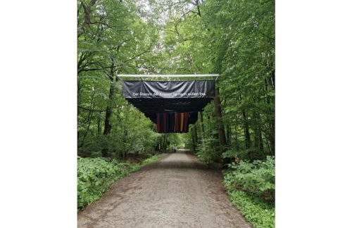 woolly prospects - Foto 13