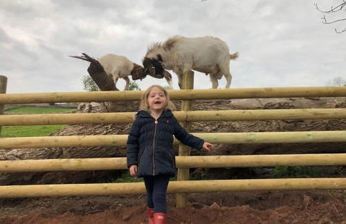 Ty Carreg cottage, Bwlch, Brecon - Photo 7