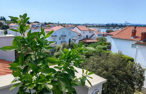 Residence Family Plazina - Place 1 & 2 - Foto 35