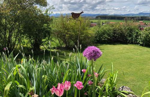 Hanni und Nanni - Foto 11