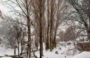 Casas Rurales El Nacimiento - Foto 45