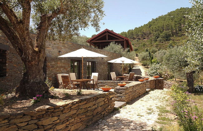 Quinta Vila Rachel - Photo 18