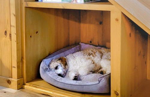 A Bear's Rest - Foto 22