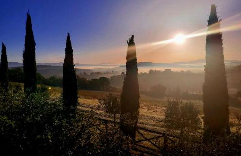 Luxury 1-bedroom house with the pool in Tuscany. - Foto 39