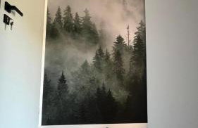 Domki Pienińskie Tarasy - Photo 54