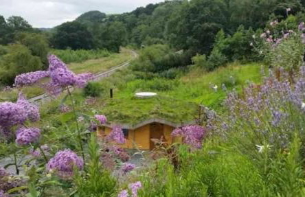 Tara vegetarian retreat guesthouse - Foto 1