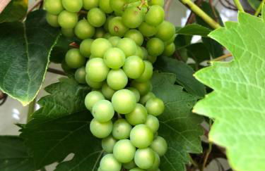 Bel Art Etage mit großem Parkplatz - Foto 36