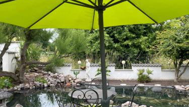 Ferienwohnung am Pferdemarkt - Photo 5