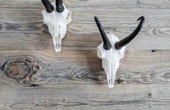 Ferienwohnungen Haus Heiss - Foto 26