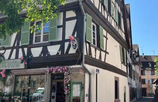La Maison du Batelier - Quartier historique Petite Venise - Foto 42