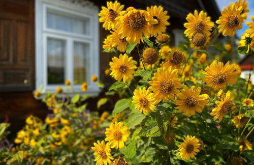 INNA BAJKA - Foto 71