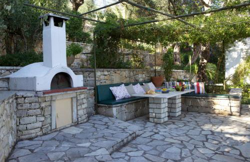 Bougainvillea - Foto 7