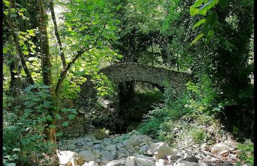 Appartamento La Foresta Abetone - Foto 40