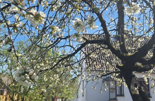 Schäferhaus - Photo 30