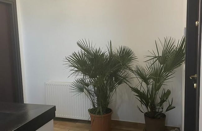 O Sole Mio ApartHotel - Foto 31