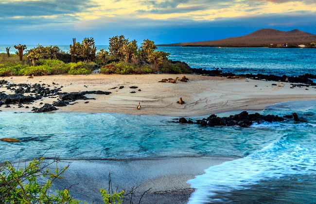 North Galapagos Islands 8 Day Cruise - Photo 1