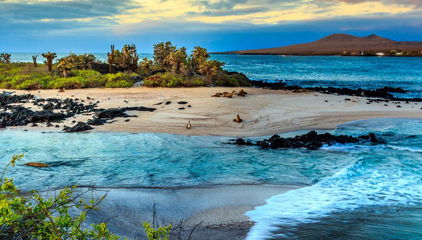 North Galapagos Islands 8 Day Cruise