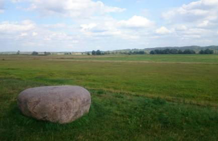 Gutshaus am Nationalpark Unteres Odertal - Foto 42