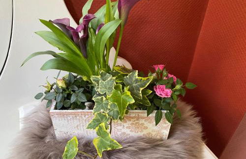 Ferienwohnung Bamberger - Foto 27