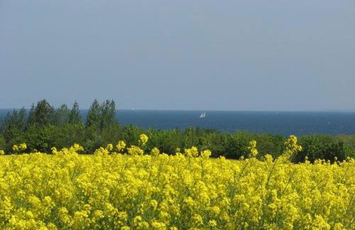 Kastanienallee - ABC66 - Foto 10