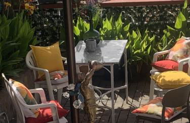 Chalet Isla Tenerife - Foto 42