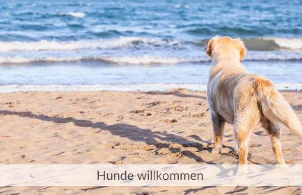 Haus Meerzeit, Wohnung Düne, 250 m vom Strand, Hunde willkommen - Photo 36