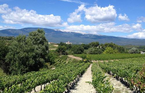 Résidence Les Salettes - Foto 18