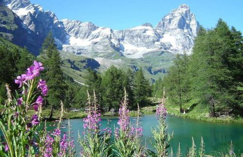 Home Sweet Home - Foto 54