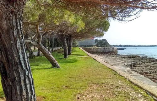 Apartment Appartement in Đuba mit Privater Terrasse by Interhome - Foto 15