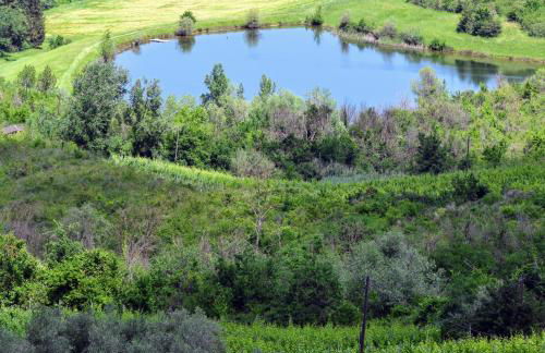 Cirillino Apartament - Foto 16