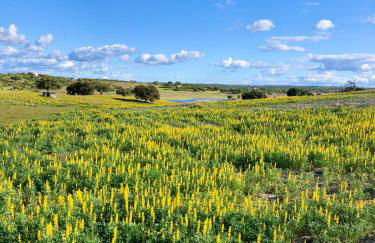 Monte dos Alpendres I Farmhouse - Foto 45