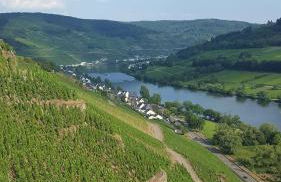 Zur Königslay - Foto 31