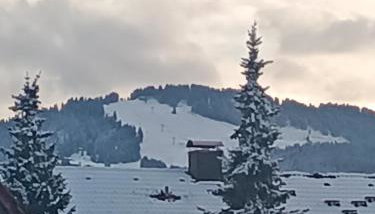 Allgäu Vibes - OberstaufenPLUS, Zugang Bahnhof, mit Aussicht, wettergeschützter Balkon - Foto 5