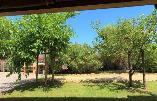 Borgo dell'Uccellaia - Turchese - Giada - Foto 20