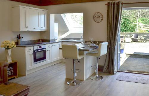 Little Hoot - Photo 1