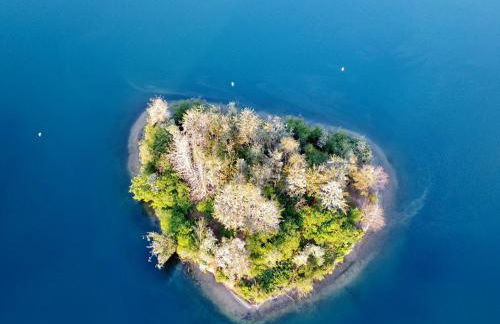 Chalet Resort Seenland - Foto 15