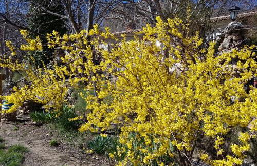 Casas Rurales Los Enebros Nerpio - Foto 18