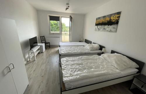 Am Ring Monteurzimmer Apartment Böhlen - Foto 19