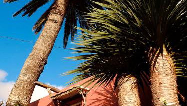 EL LAGAR DEL NORTE - Foto 5