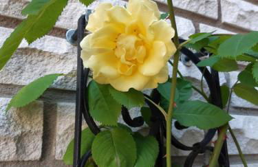 Ferienhaus WeserLiebe - Foto 20