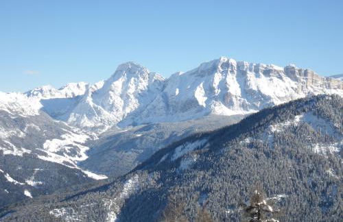 Chi Plans - Photo 18