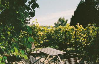 Am Mühlenberg - Photo 45