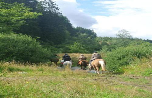 Villa near Montgó with Pool and Beach - Foto 38