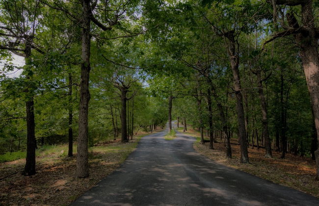 Beaver Lake Cottages - Foto 51